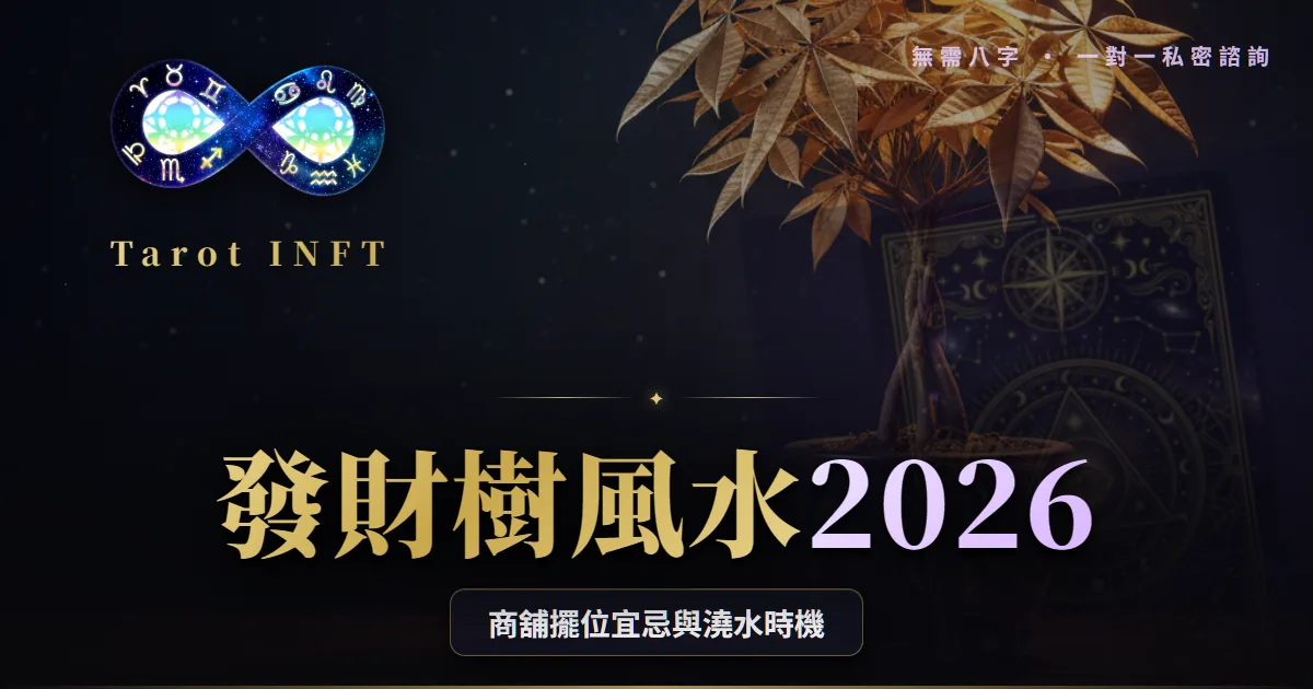 【發財樹風水2026】商舖擺錯位越擺越窮?收銀位、財位與澆水時機